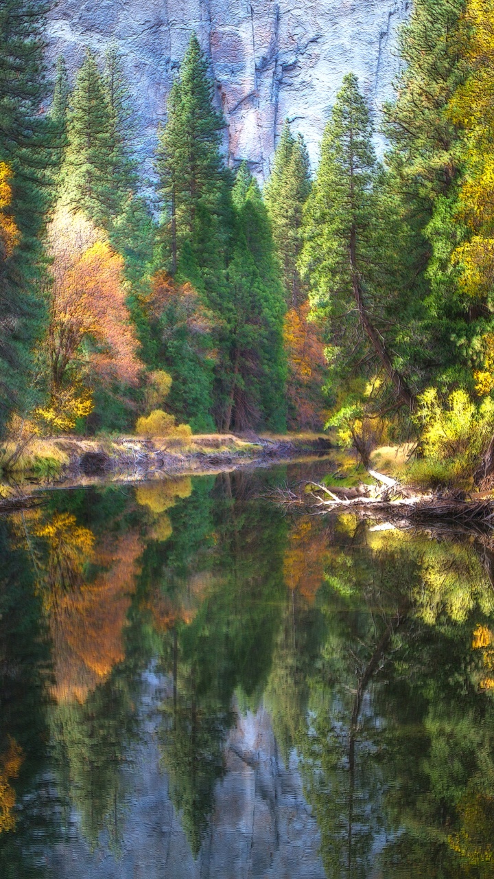 Обои йосемитский национальный парк, парк, национальный парк, реки, отражение в разрешении 720x1280