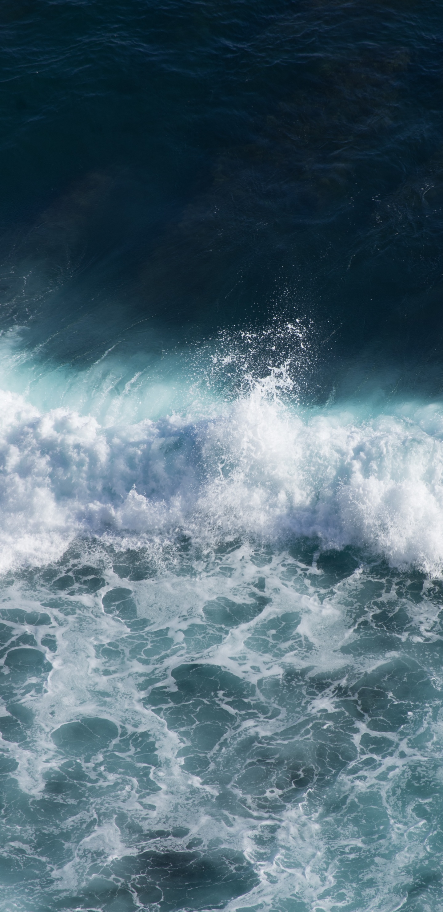 Обои океан, пляж, небо, море, берег в разрешении 1440x2960