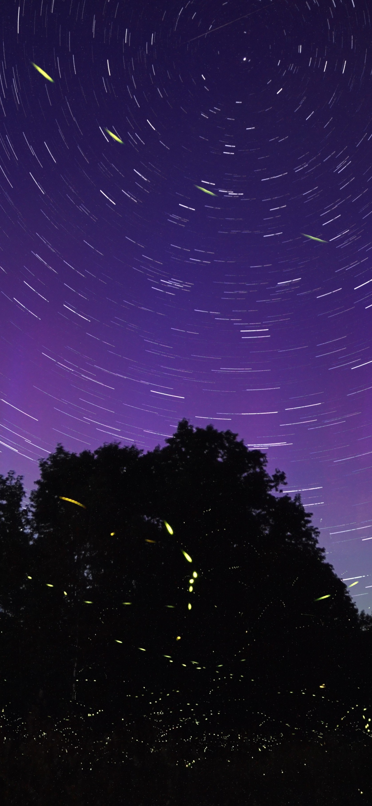 Обои светляк, пурпур, облако, космос, Фиолетовый в разрешении 1242x2688