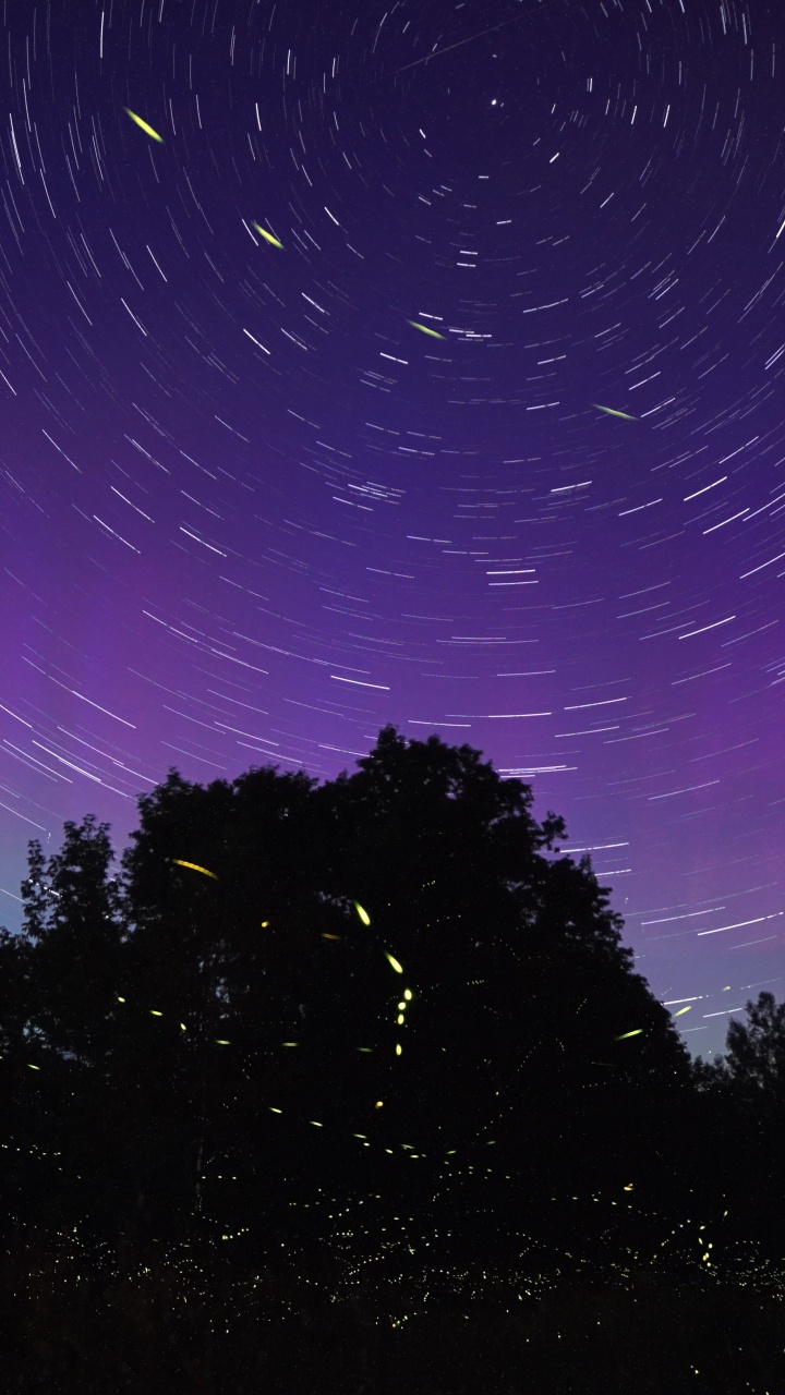 Обои светляк, пурпур, облако, космос, Фиолетовый в разрешении 720x1280