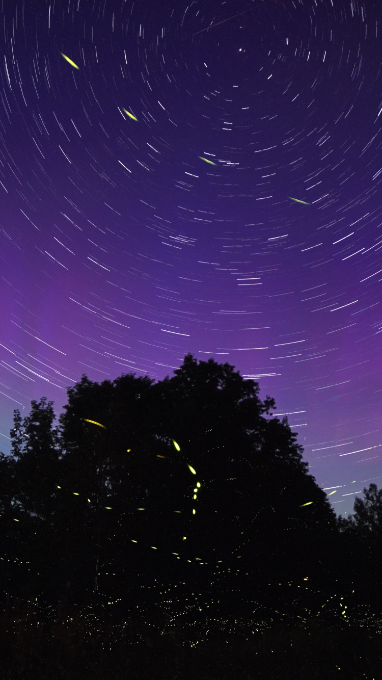 Обои светляк, пурпур, облако, космос, Фиолетовый в разрешении 750x1334