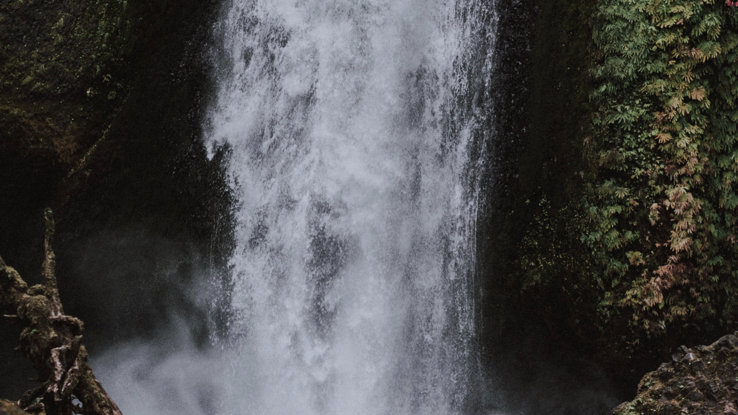 Обои водопад, водоем, вода, гидроресурсы, природа в разрешении 2560x1440