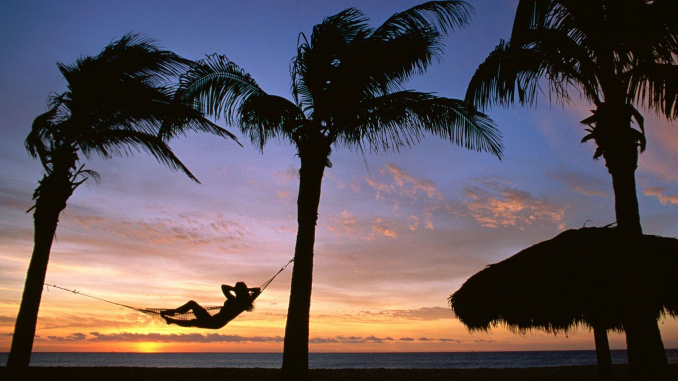 Обои отпуск, дерево, Пальма, тропическая зона, закат в разрешении 1366x768