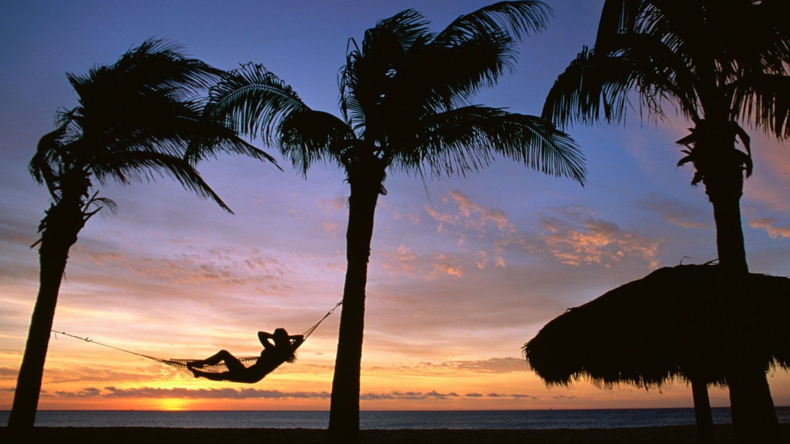 Обои отпуск, дерево, Пальма, тропическая зона, закат в разрешении 2560x1440