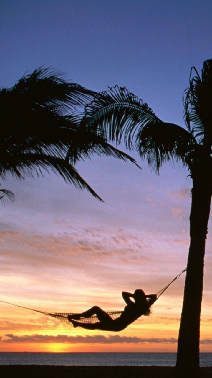 Обои отпуск, дерево, Пальма, тропическая зона, закат в разрешении 720x1280