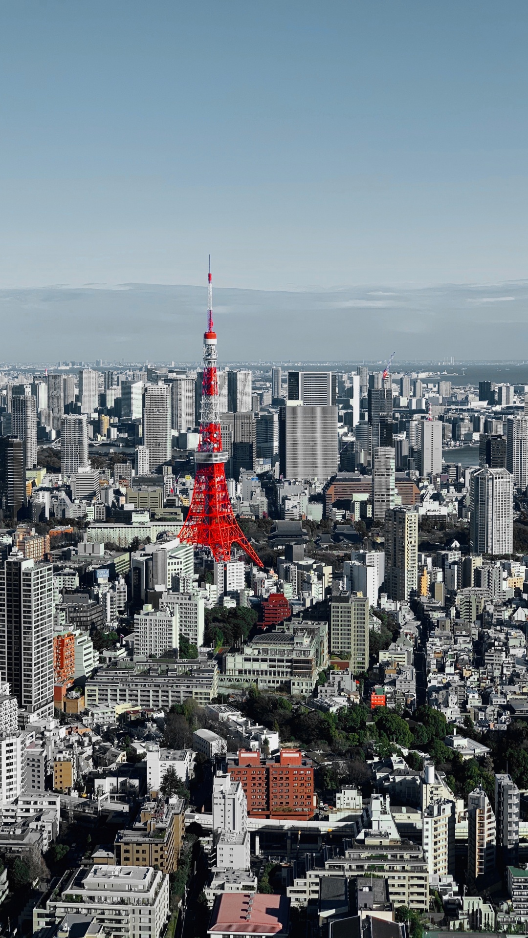 Обои Токио, небоскреб, городской район, дневное время, здание в разрешении 1080x1920