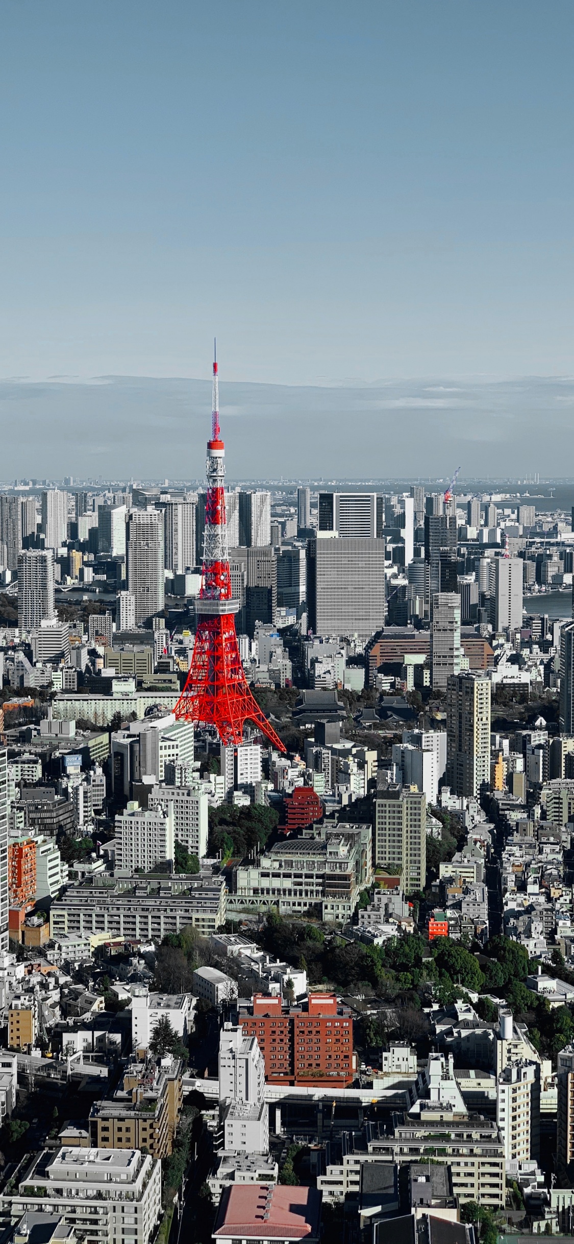 Обои Токио, небоскреб, городской район, дневное время, здание в разрешении 1125x2436