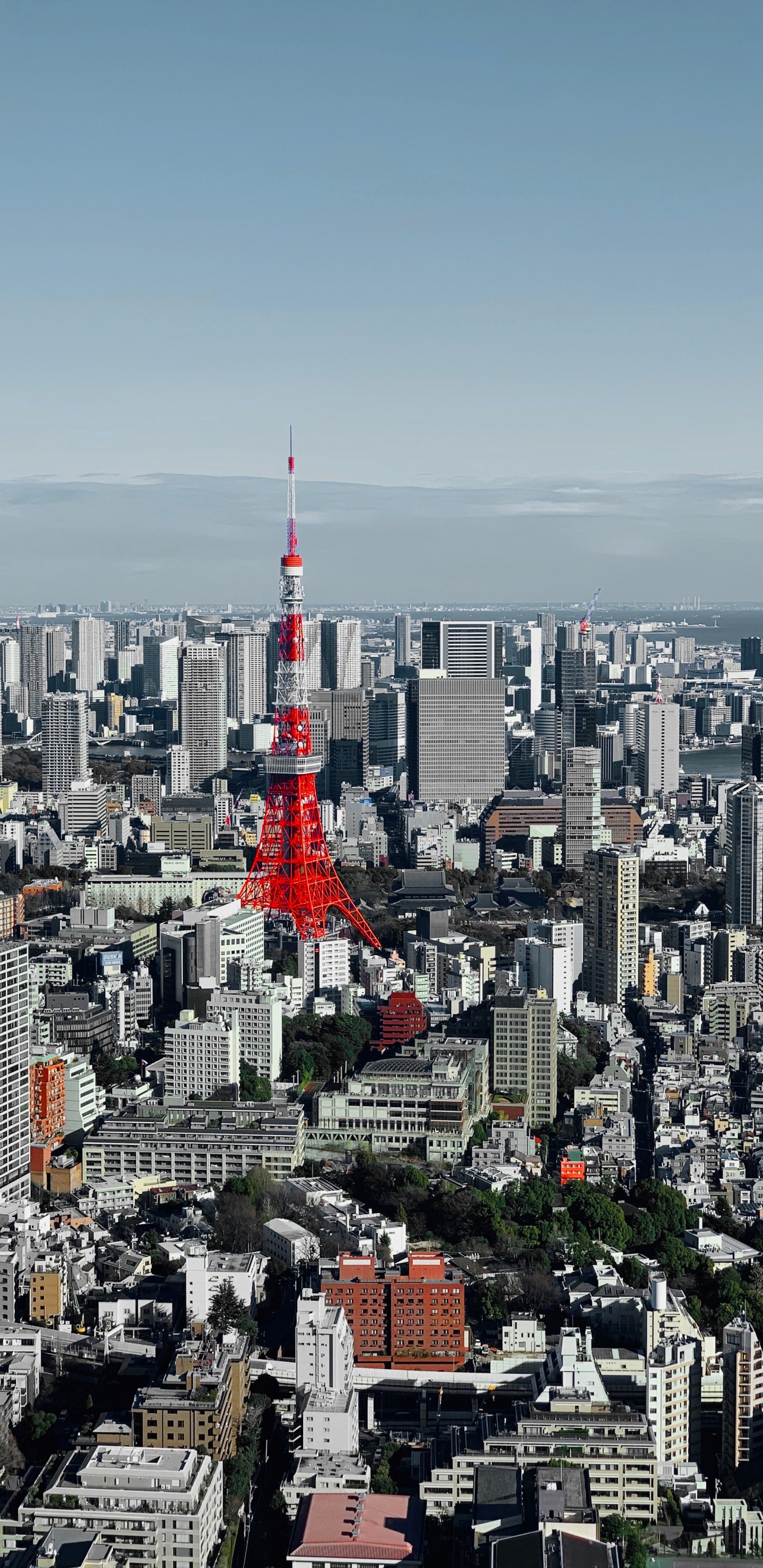 Обои Токио, небоскреб, городской район, дневное время, здание в разрешении 1440x2960