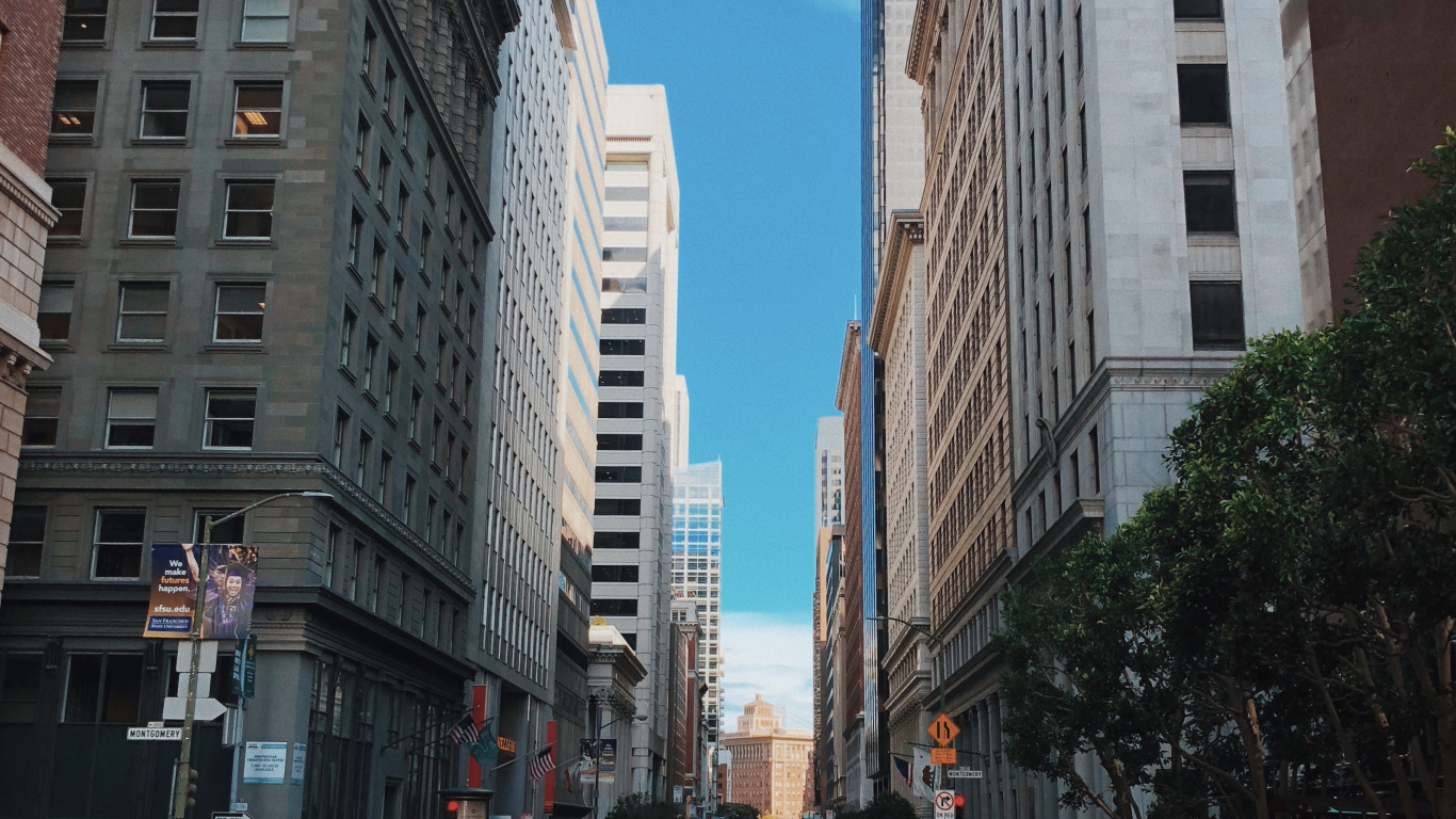 Обои Король, автомобиль среднего размера, компактный автомобиль, дорога, соседство в разрешении 1366x768