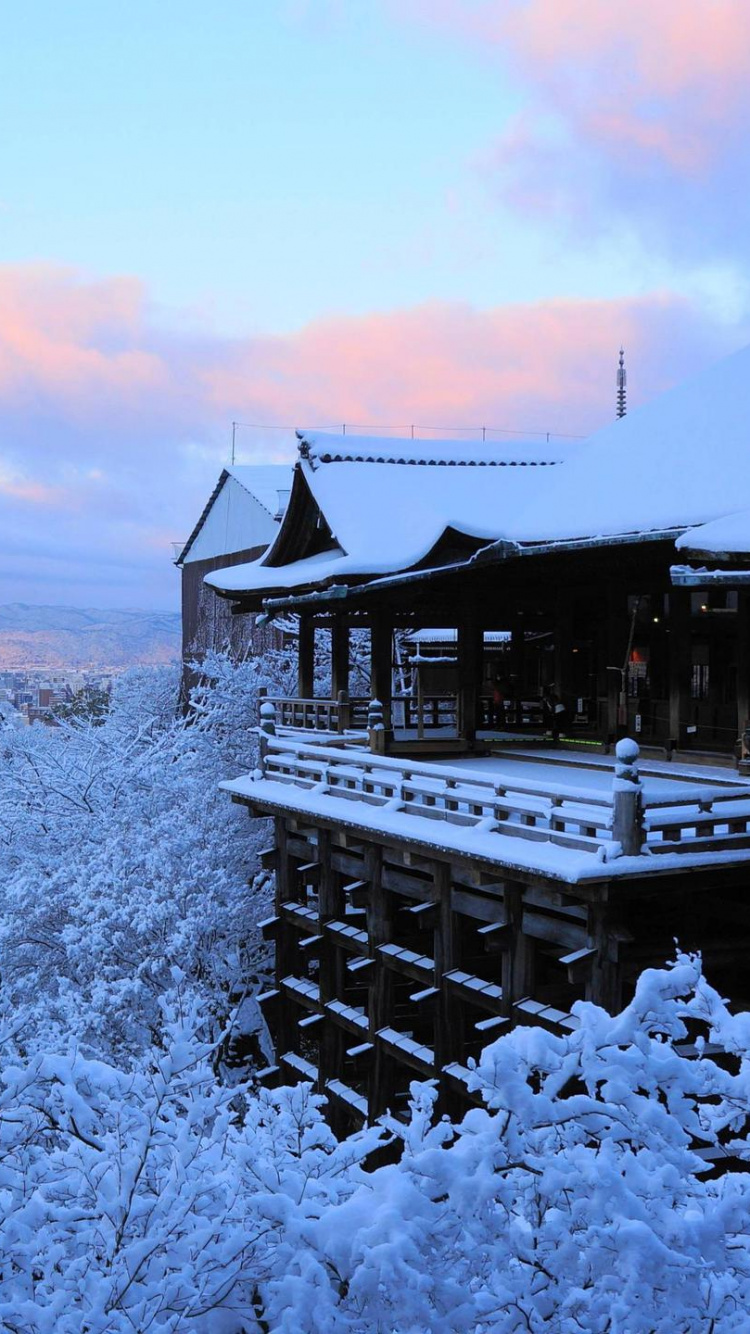 Обои зима, снег, замораживание, облако, дерево в разрешении 750x1334