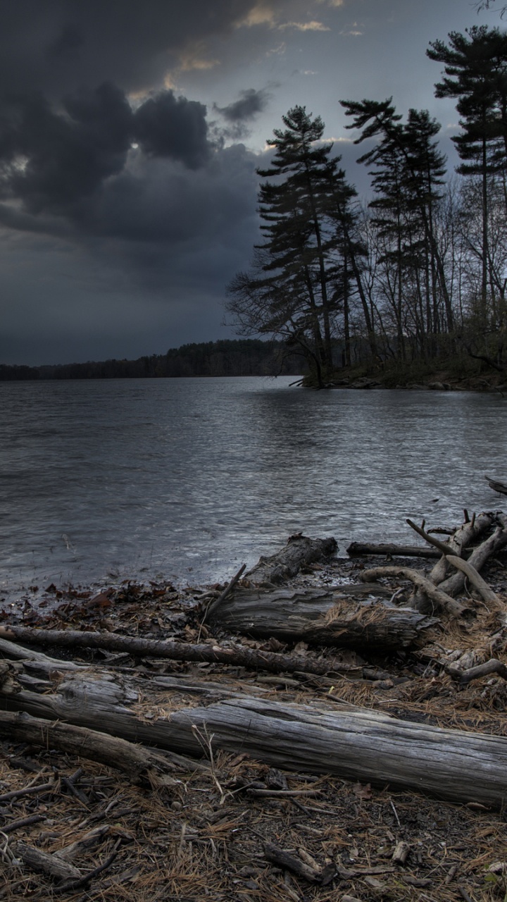 Обои вода, дерево, облако, реки, дикая местность в разрешении 720x1280