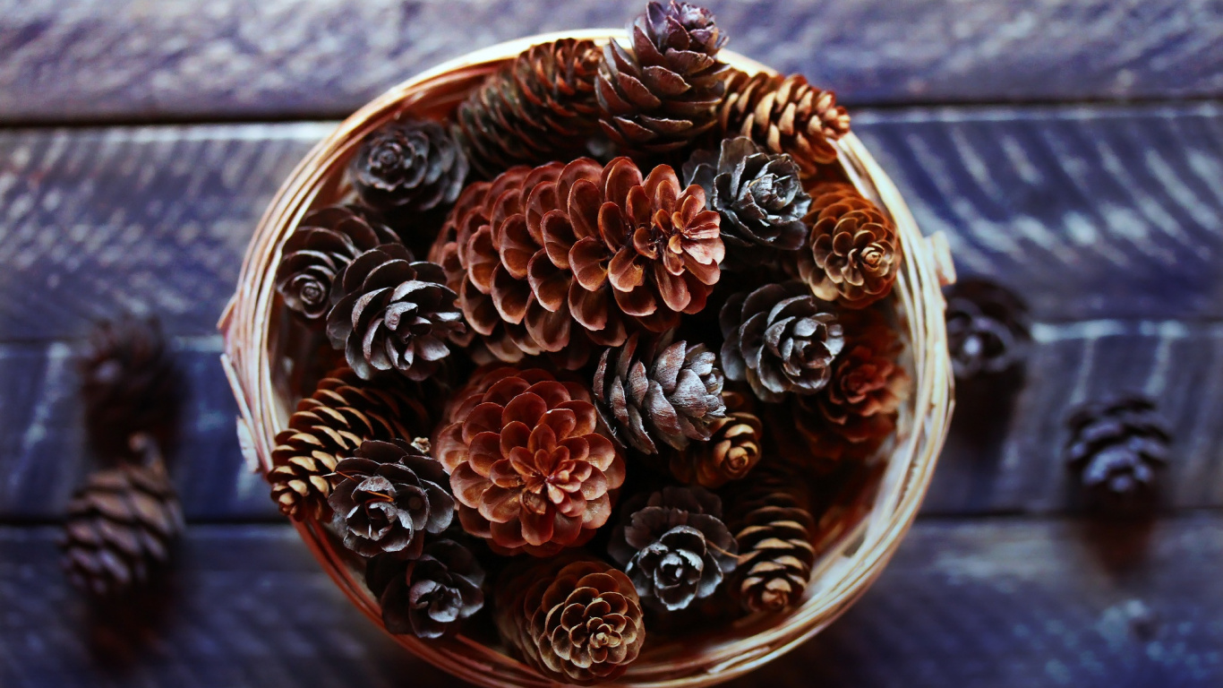 Обои древесина, натуральный материал, ювелирные изделия тела, ювелирные изделия, артефакт в разрешении 1366x768