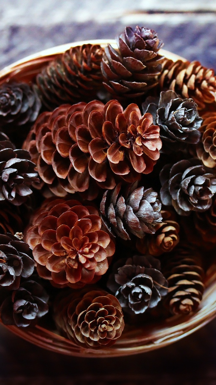 Обои древесина, натуральный материал, ювелирные изделия тела, ювелирные изделия, артефакт в разрешении 720x1280