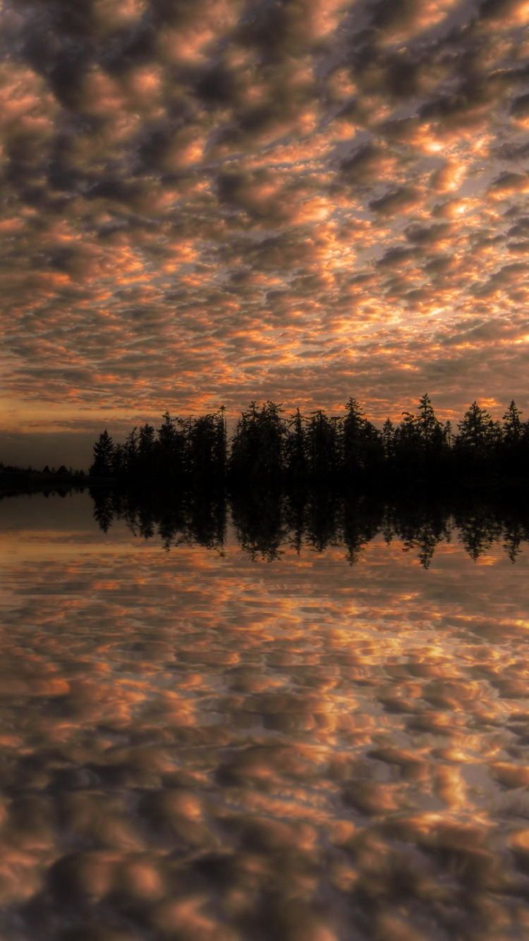 Обои закат, отражение, вода, облако, вечер в разрешении 750x1334