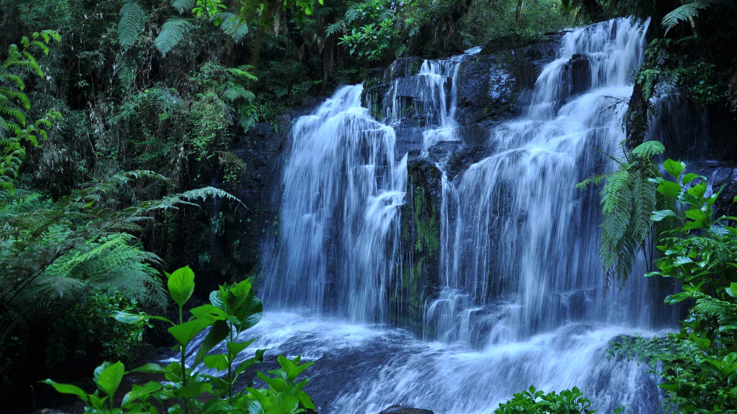 Обои водопад, природа, гидроресурсы, водоем, природный заповедник в разрешении 2560x1440
