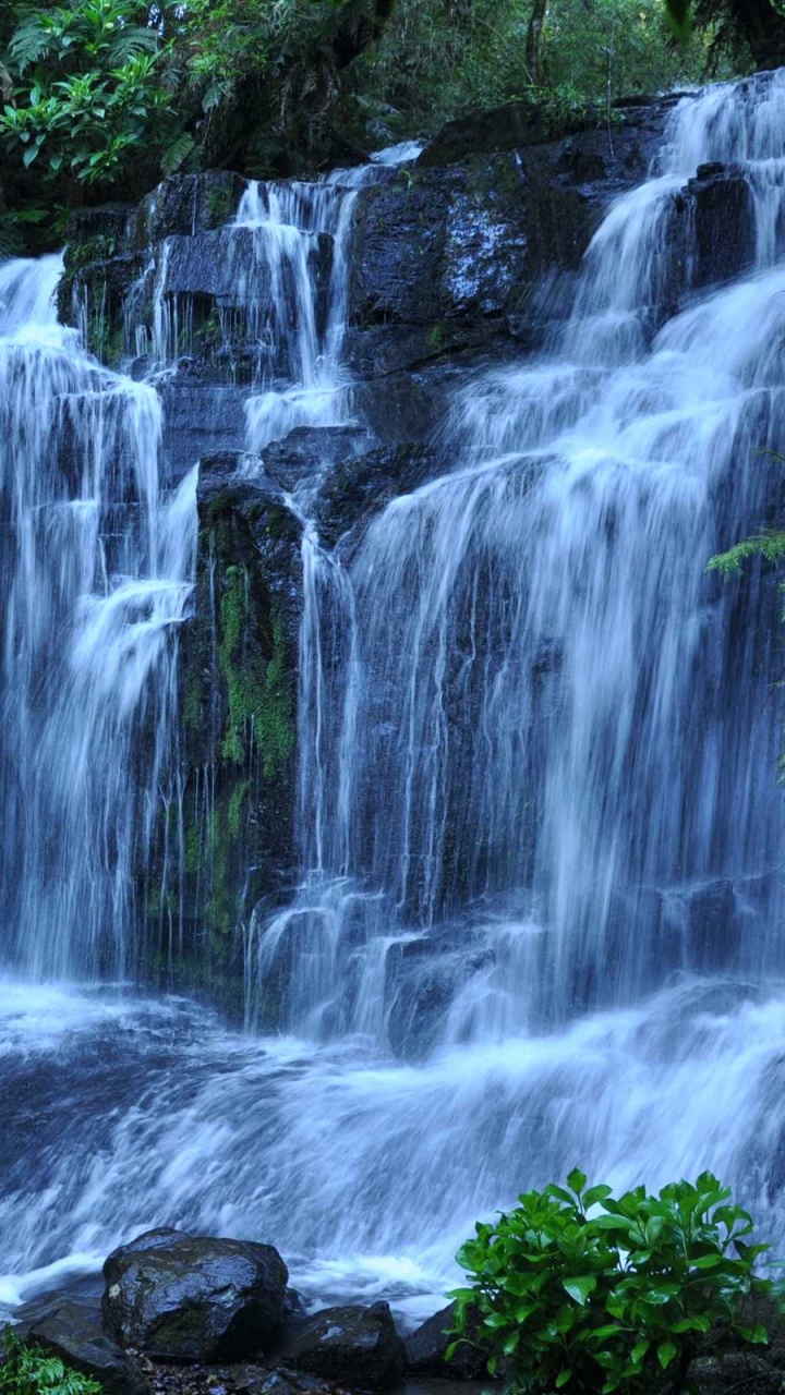 Обои водопад, природа, гидроресурсы, водоем, природный заповедник в разрешении 720x1280