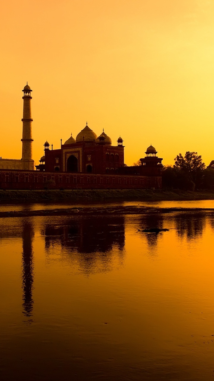 Обои Тадж-Махал, памятник, отражение, ориентир, утро в разрешении 720x1280