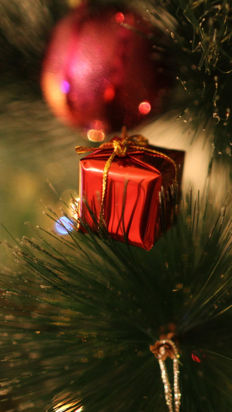 Обои Новый год, Рождественский день, рождественский орнамент, дерево, елка в разрешении 750x1334