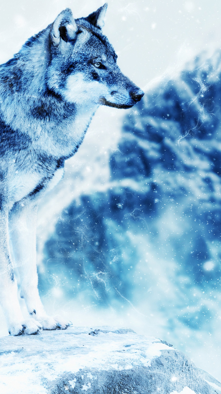 Обои снег, фотошоп, Сахалинская лайка, Сахалинская хаски, Арктика в разрешении 750x1334