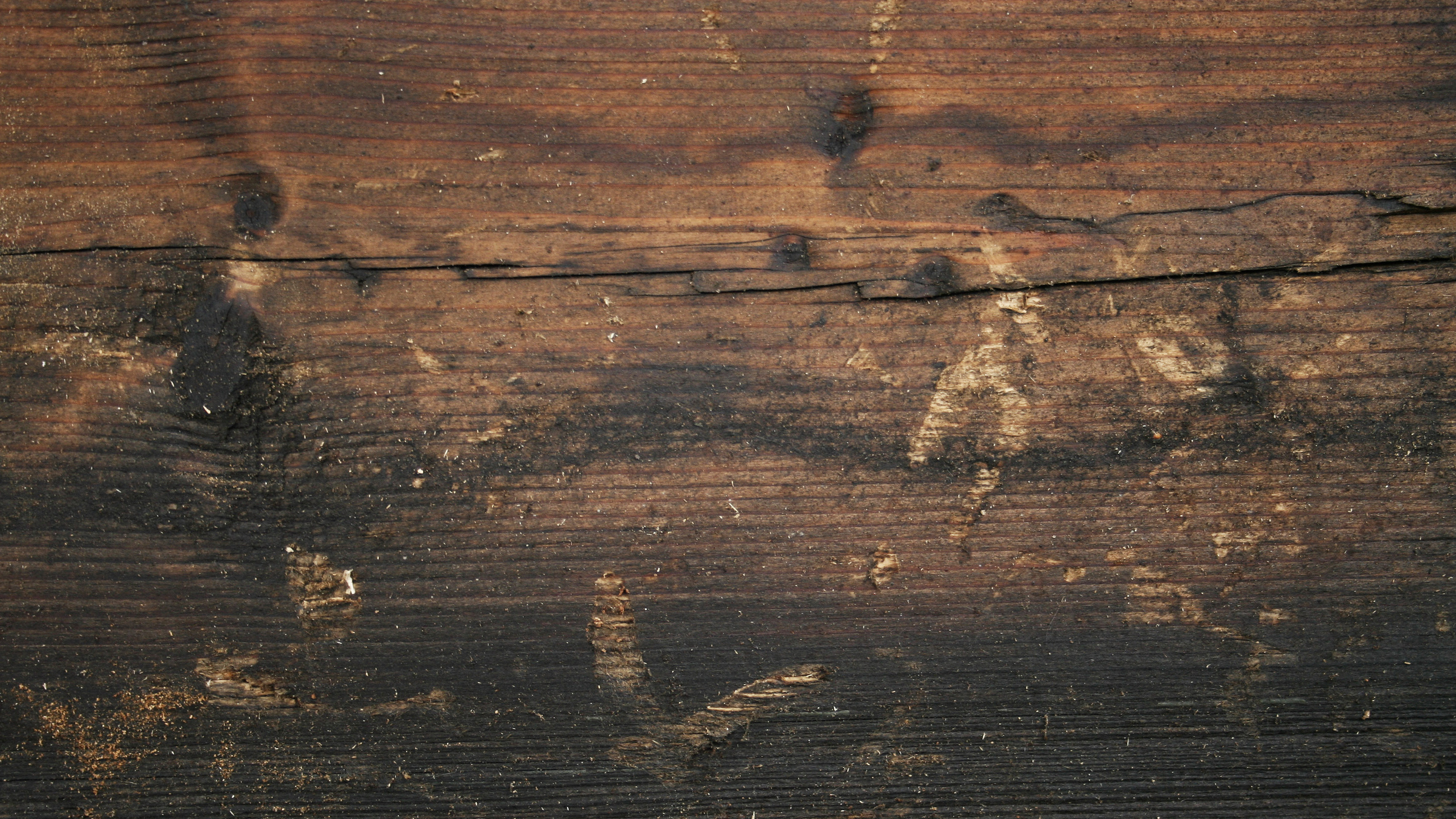 Обои древесина, текстура, морилка, коричневый цвет, деревянный настил в разрешении 2560x1440