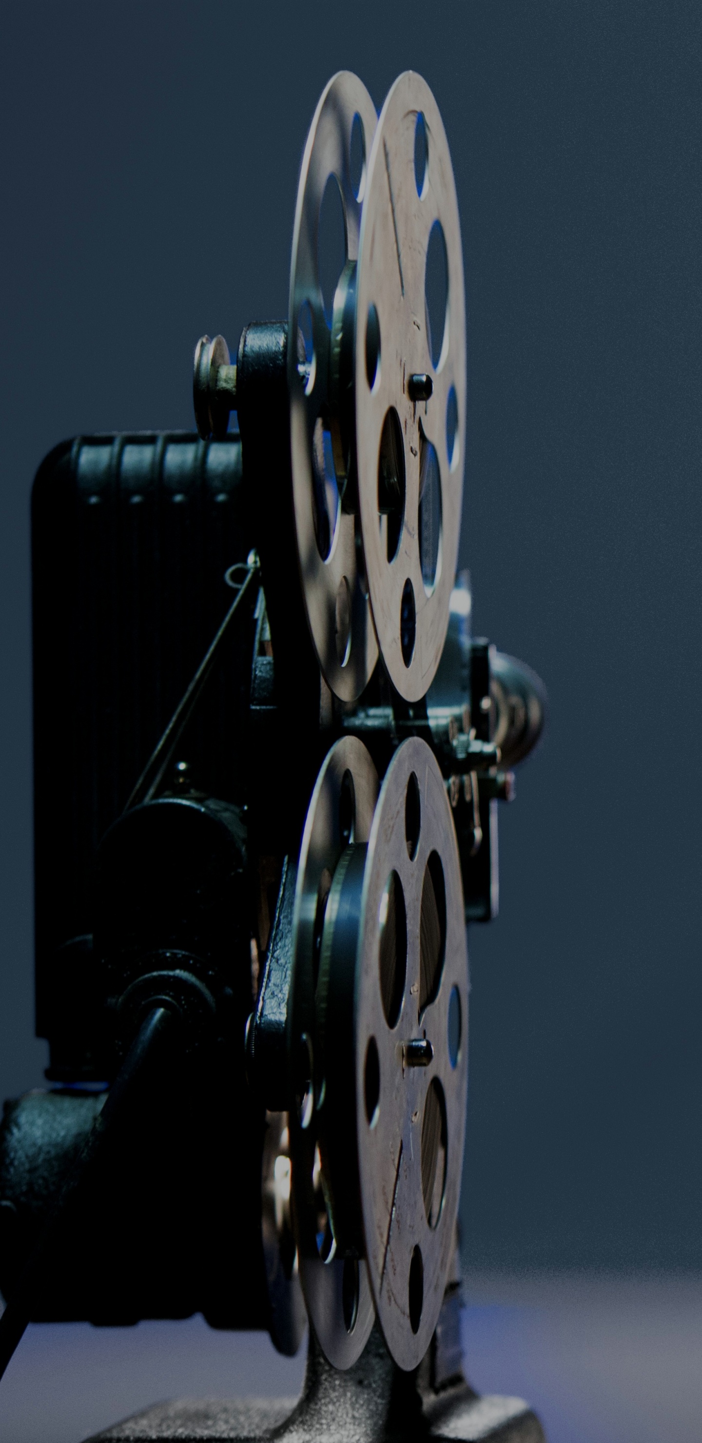 Обои Богул, синий, темнота, верхняя одежда, машина в разрешении 1440x2960