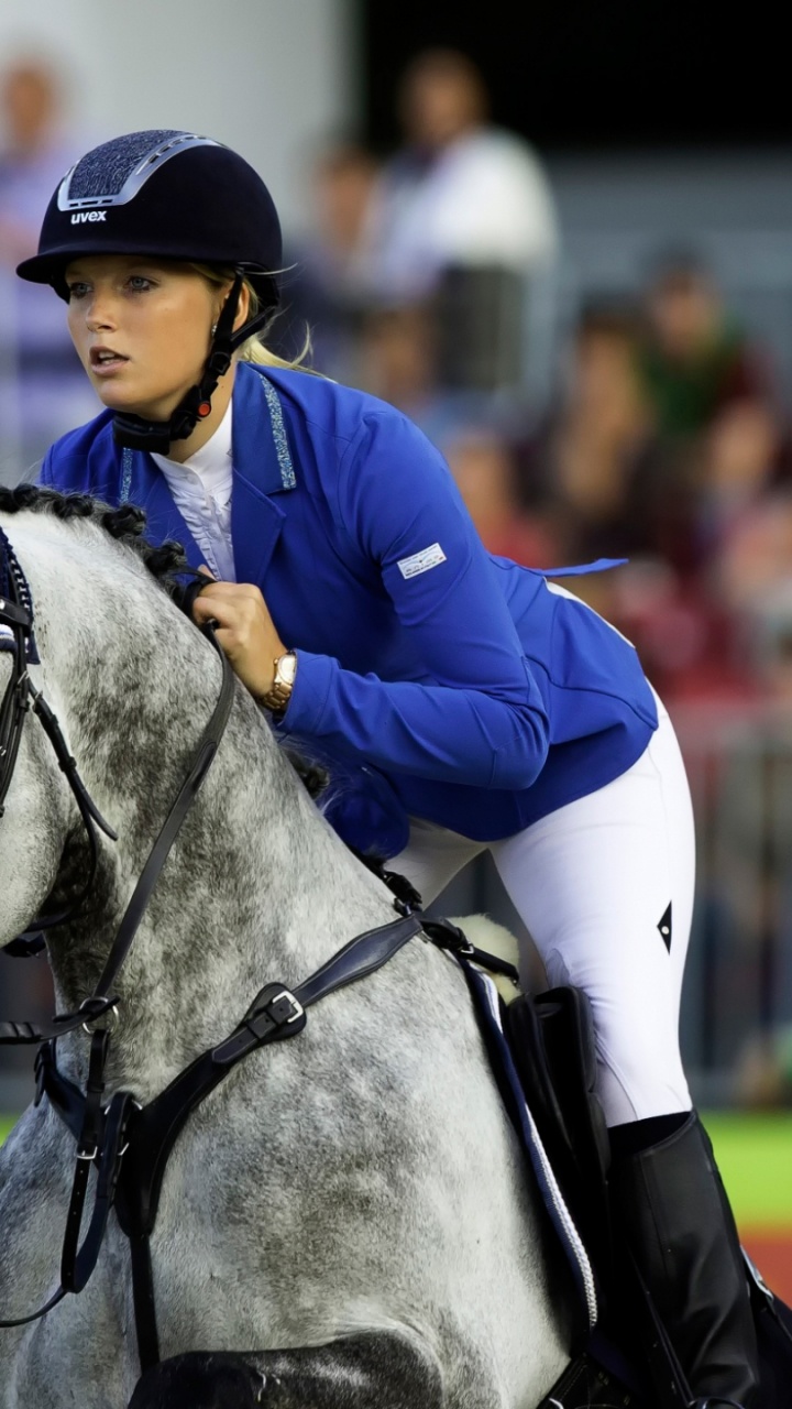 Обои уздечка, вожжа, наездник, животных спорт, троеборье в разрешении 720x1280