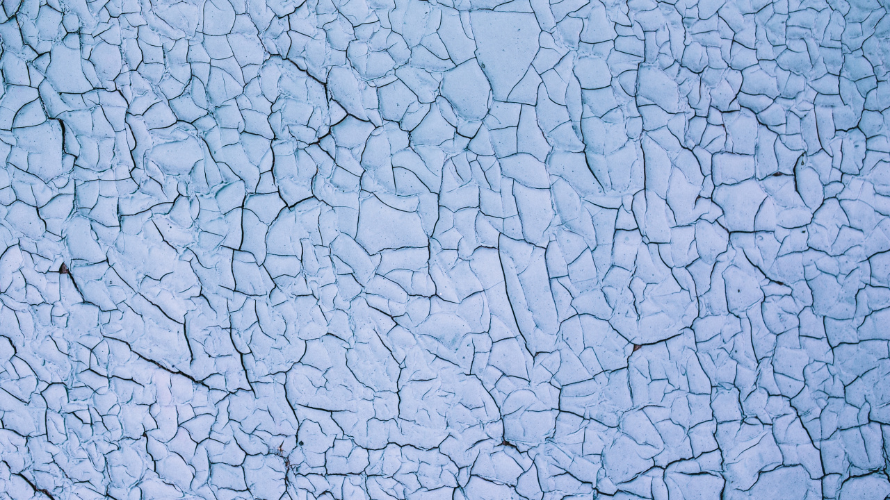 Обои текстура, узор, ветвь, краска, дерево в разрешении 1280x720