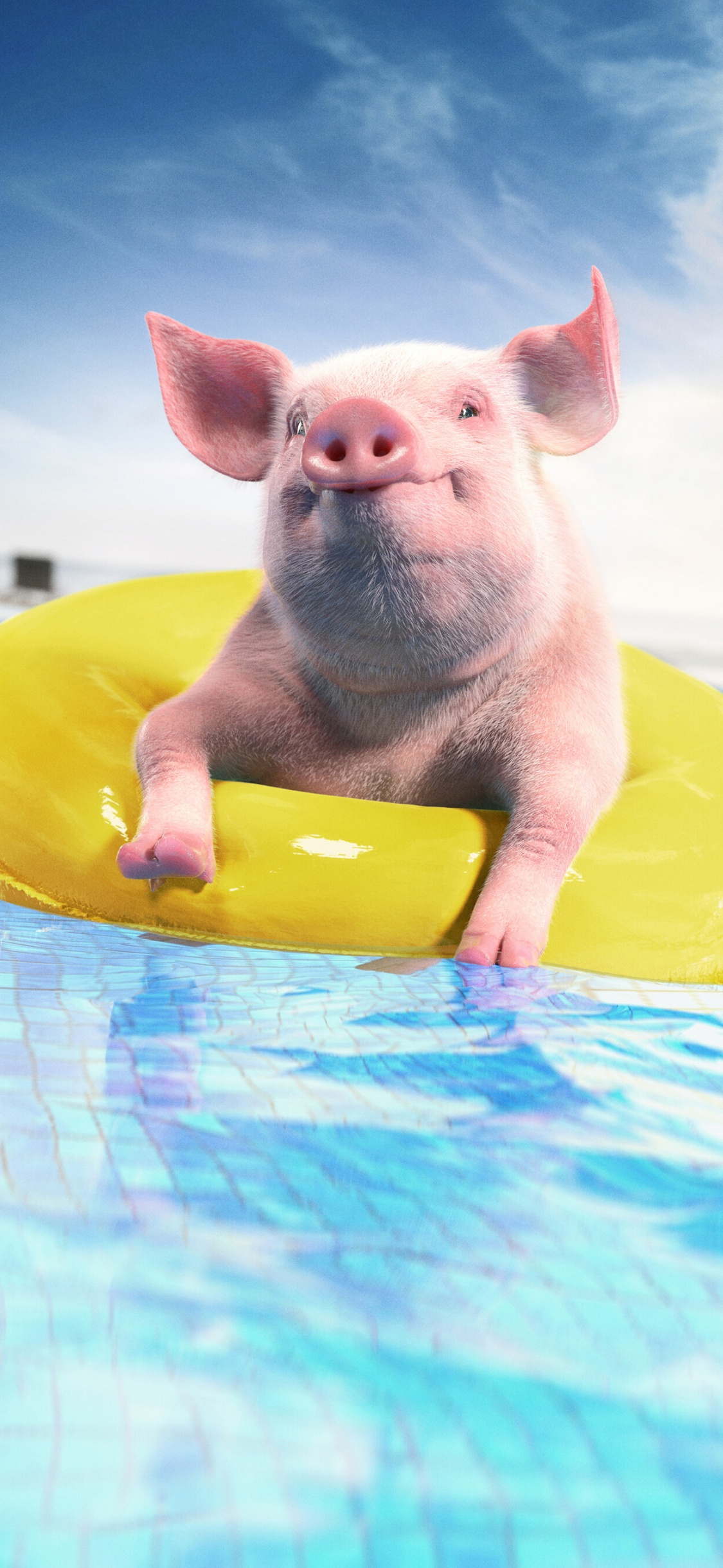 Обои Suidae, вода, забава, плавательный бассейн, лето в разрешении 1125x2436