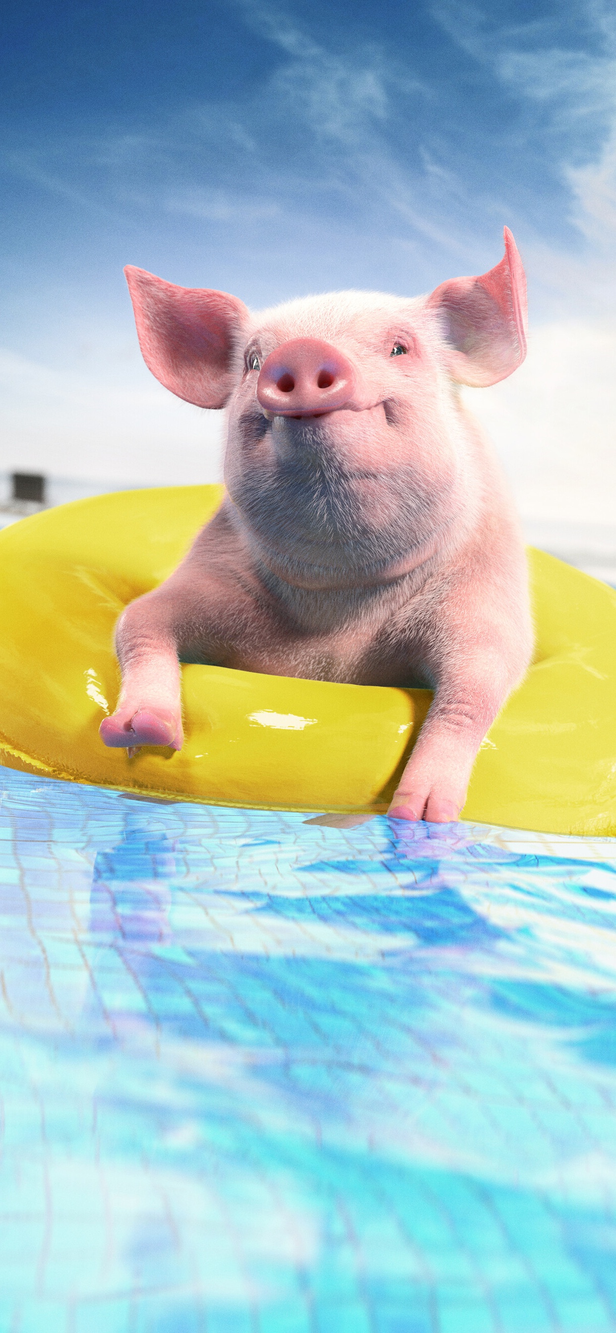 Обои Suidae, вода, забава, плавательный бассейн, лето в разрешении 1242x2688