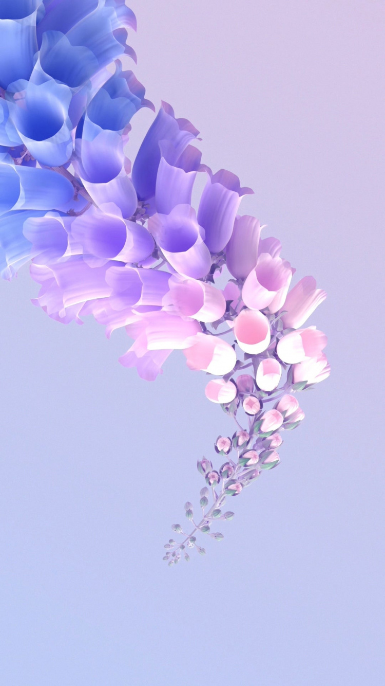 Обои цветок, цветковое растение, растение, лепесток, пурпур в разрешении 750x1334