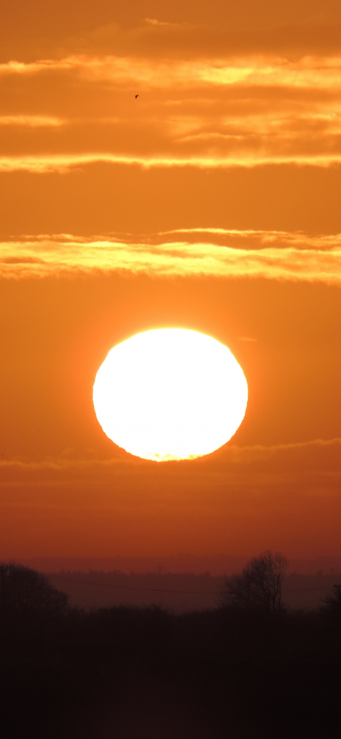 Обои закат, восход солнца, рассвет, солнце, горизонт в разрешении 1125x2436