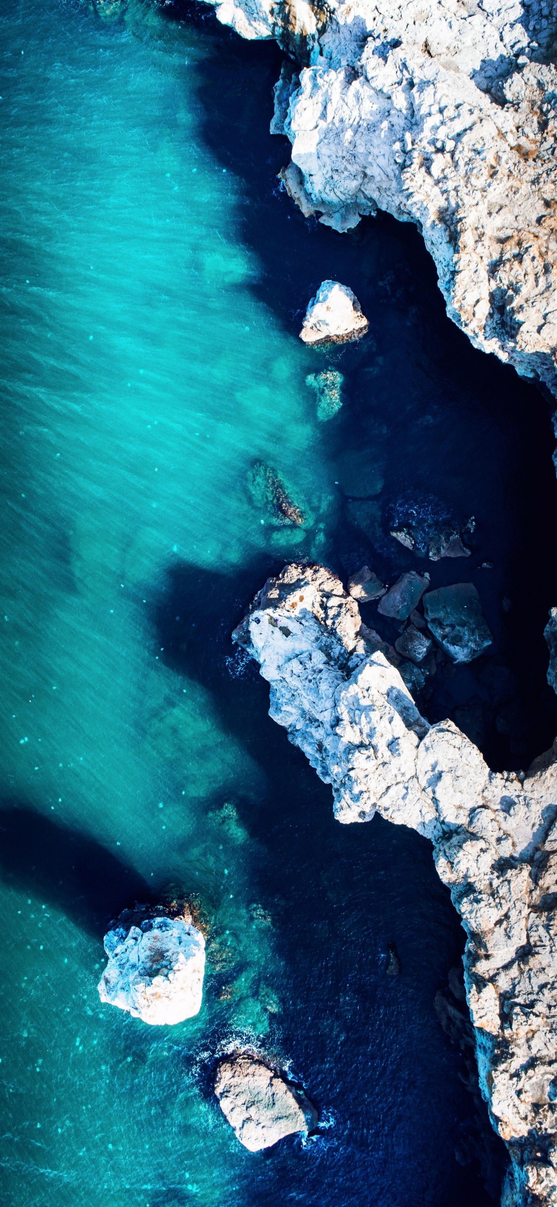 Обои вода, гидроресурсы, лазурный, синий, дерево в разрешении 1125x2436