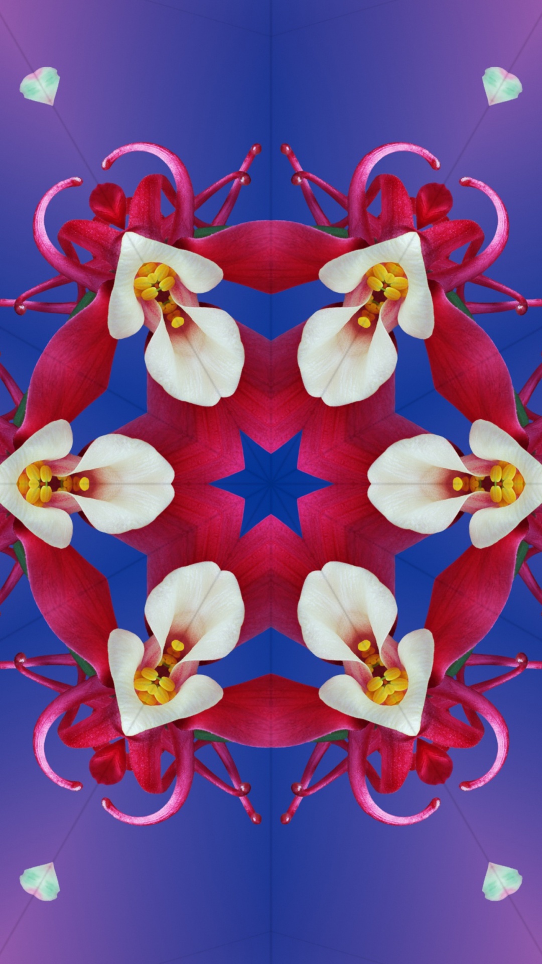 Обои iOS 17, яблоко, iOS 16, ios, цветок в разрешении 1080x1920