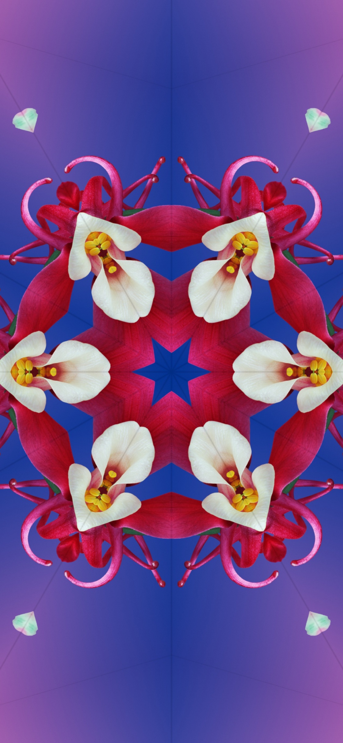 Обои iOS 17, яблоко, iOS 16, ios, цветок в разрешении 1125x2436