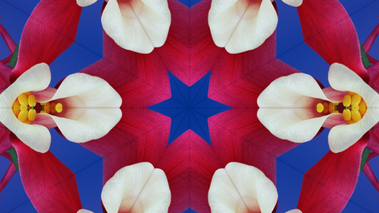 Обои iOS 17, яблоко, iOS 16, ios, цветок в разрешении 1280x720