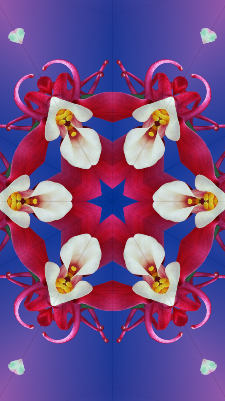 Обои iOS 17, яблоко, iOS 16, ios, цветок в разрешении 750x1334