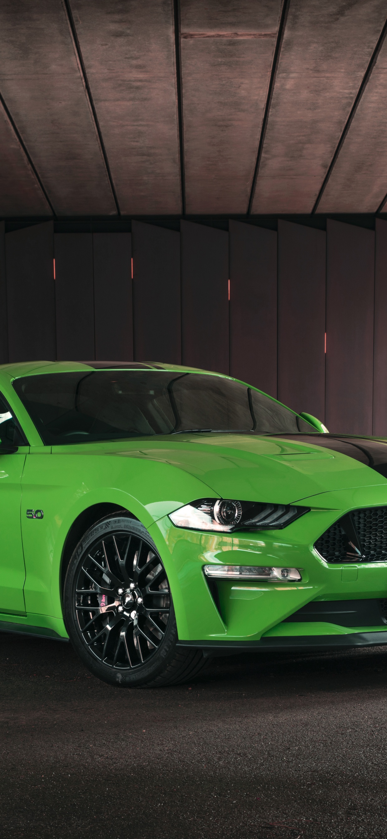 Обои Шелби Мустанг, обод, ford, компания Ford, Форд Мустанг GT фастбэк в разрешении 1242x2688