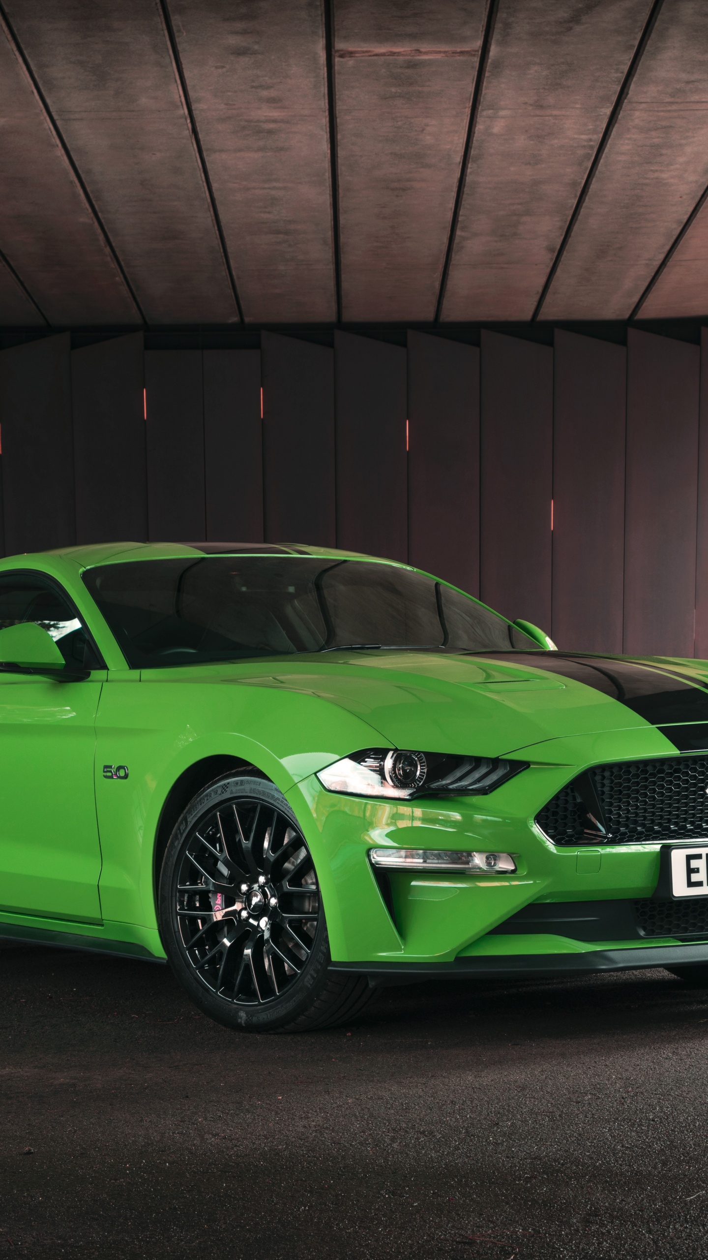 Обои Шелби Мустанг, обод, ford, компания Ford, Форд Мустанг GT фастбэк в разрешении 1440x2560