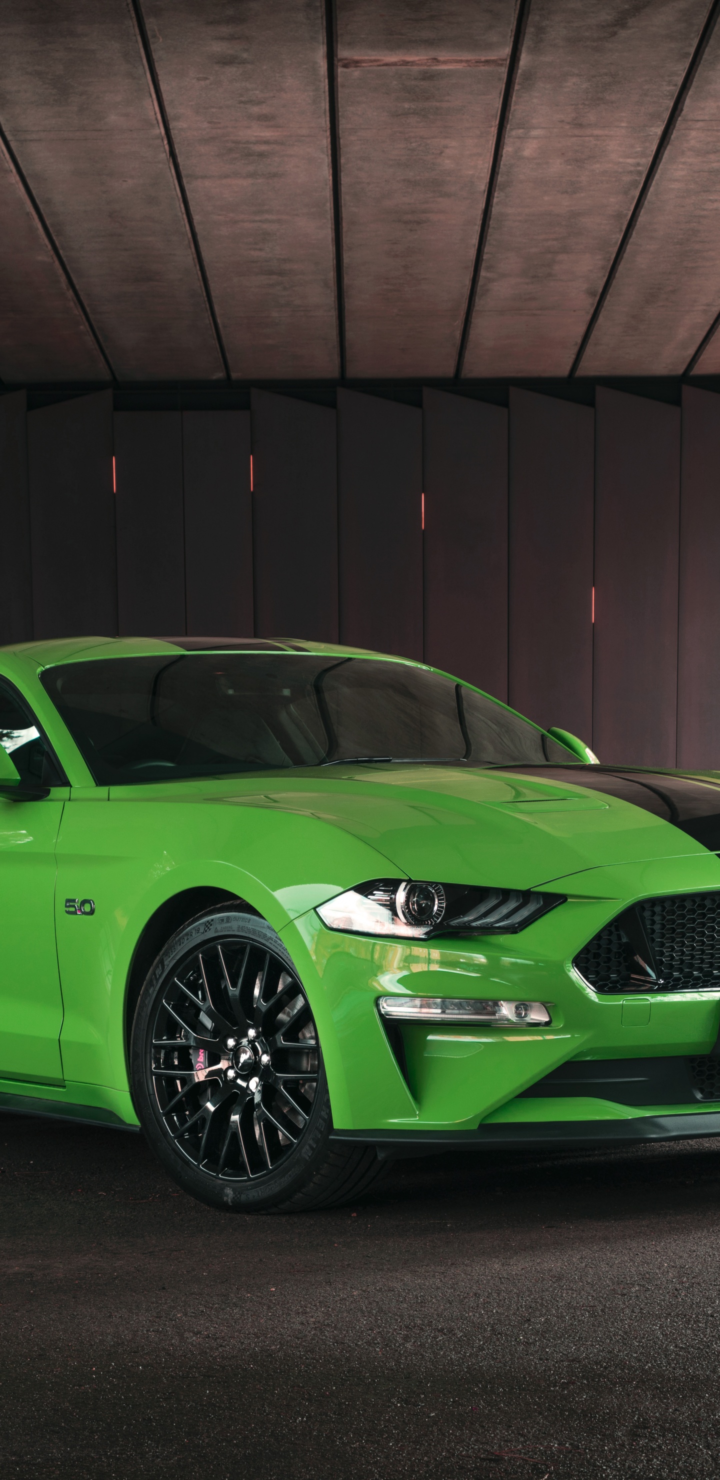 Обои Шелби Мустанг, обод, ford, компания Ford, Форд Мустанг GT фастбэк в разрешении 1440x2960