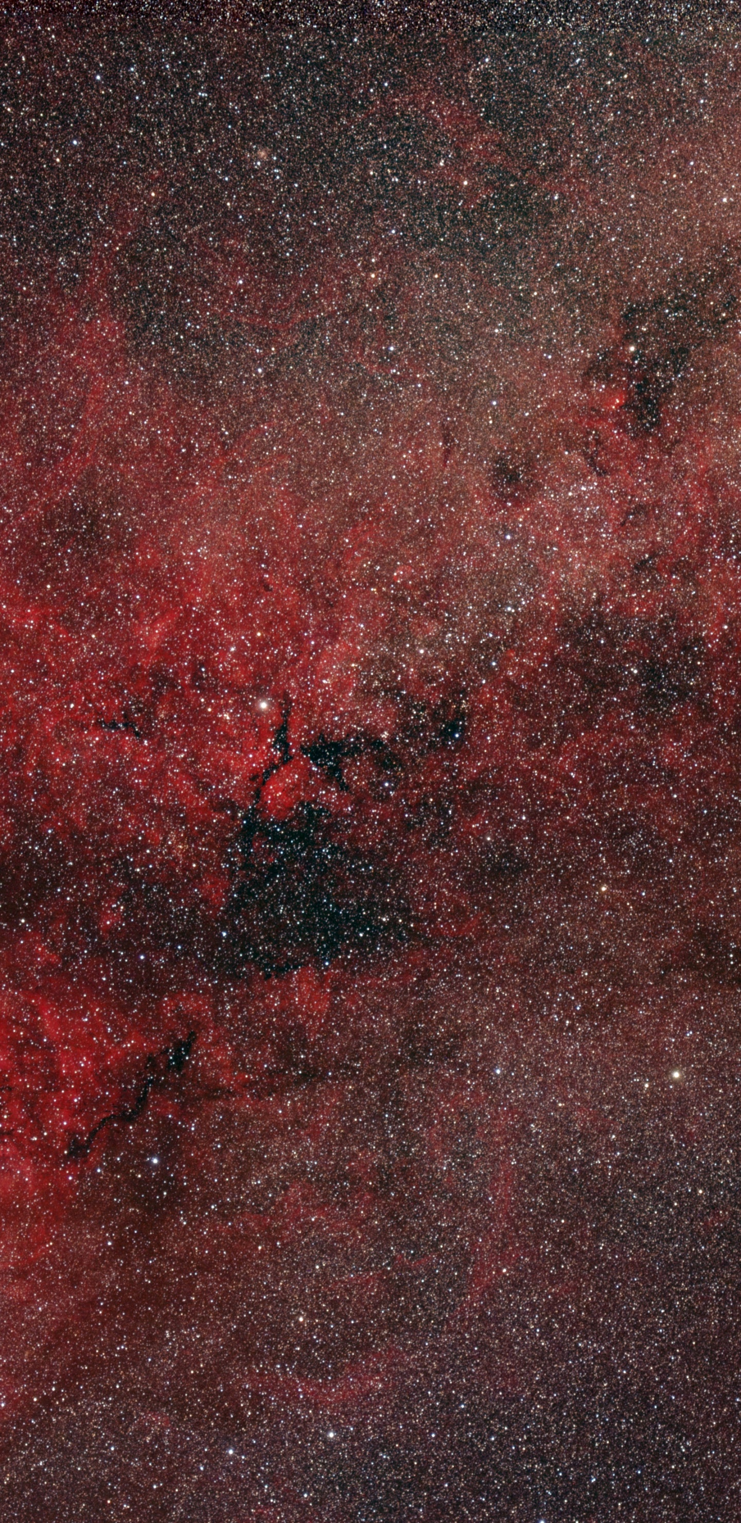 Обои туманность, визуальное искусство, Астрономия, коричневый цвет, астрономический объект в разрешении 1440x2960