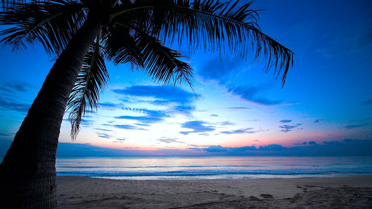 Обои закат, океан, горизонт, тропическая зона, море в разрешении 1280x720