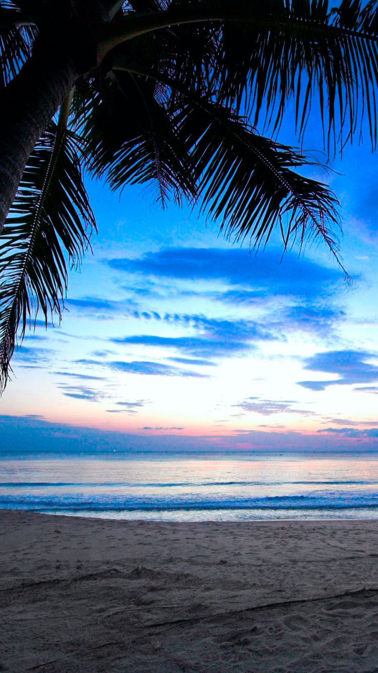 Обои закат, океан, горизонт, тропическая зона, море в разрешении 750x1334