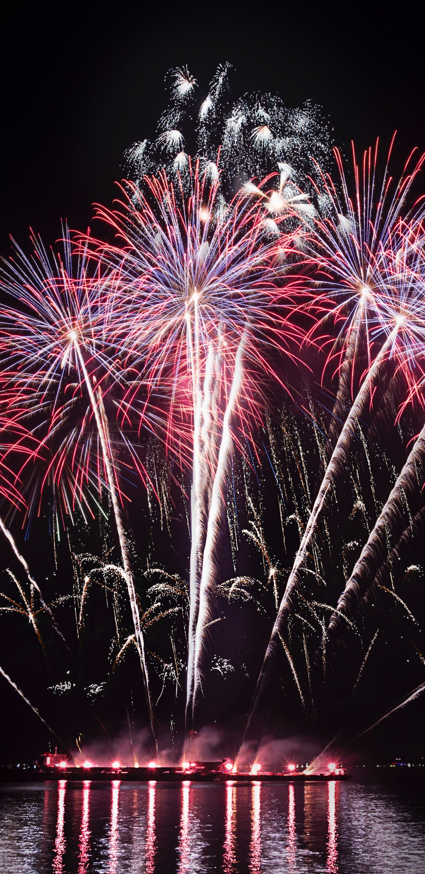 Обои салют, ночь, природа, отражение, день нового года в разрешении 1440x2960