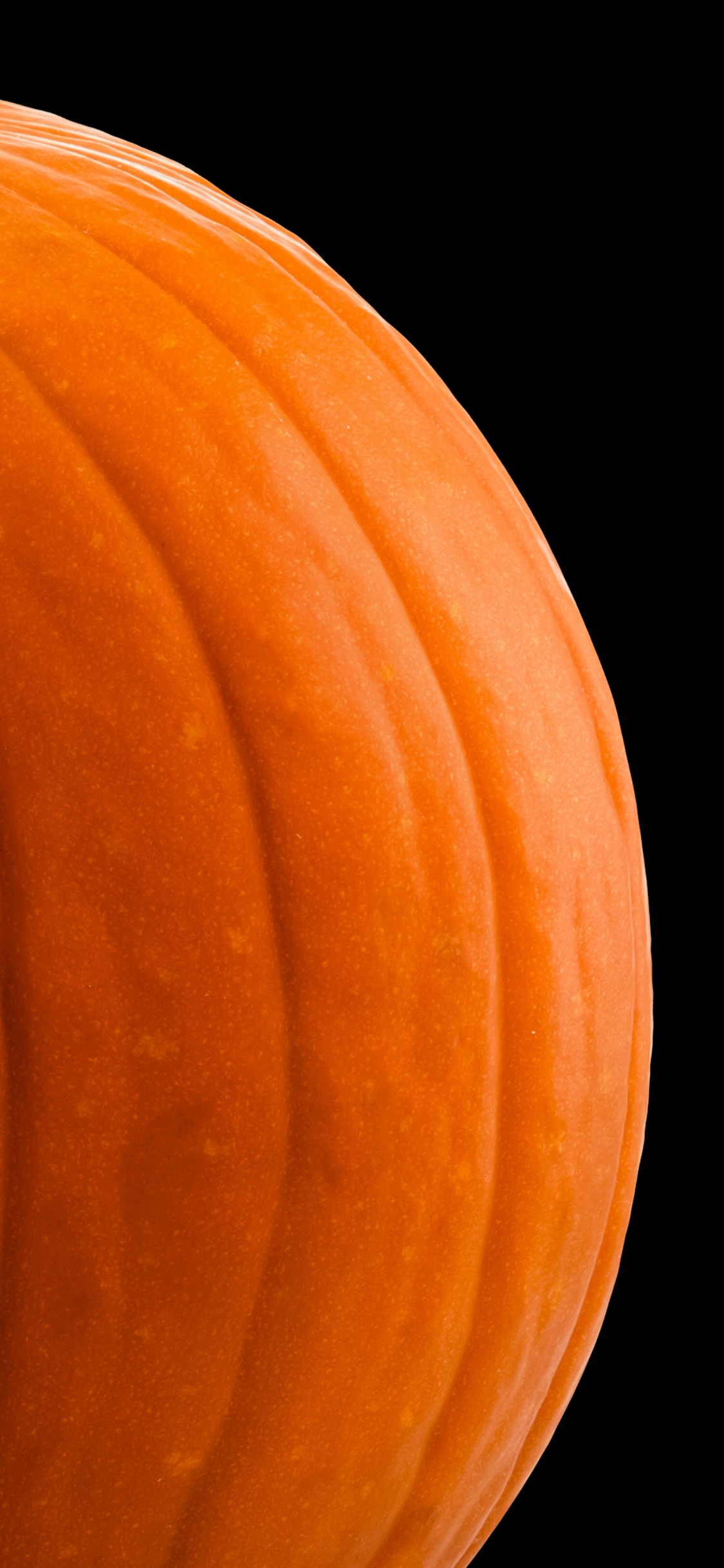 Обои Оранжевый цвет, кабачок, древесина, полутона и оттенки, лепесток в разрешении 1125x2436