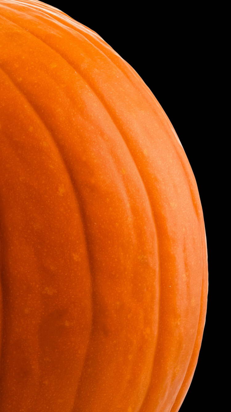 Обои Оранжевый цвет, кабачок, древесина, полутона и оттенки, лепесток в разрешении 750x1334