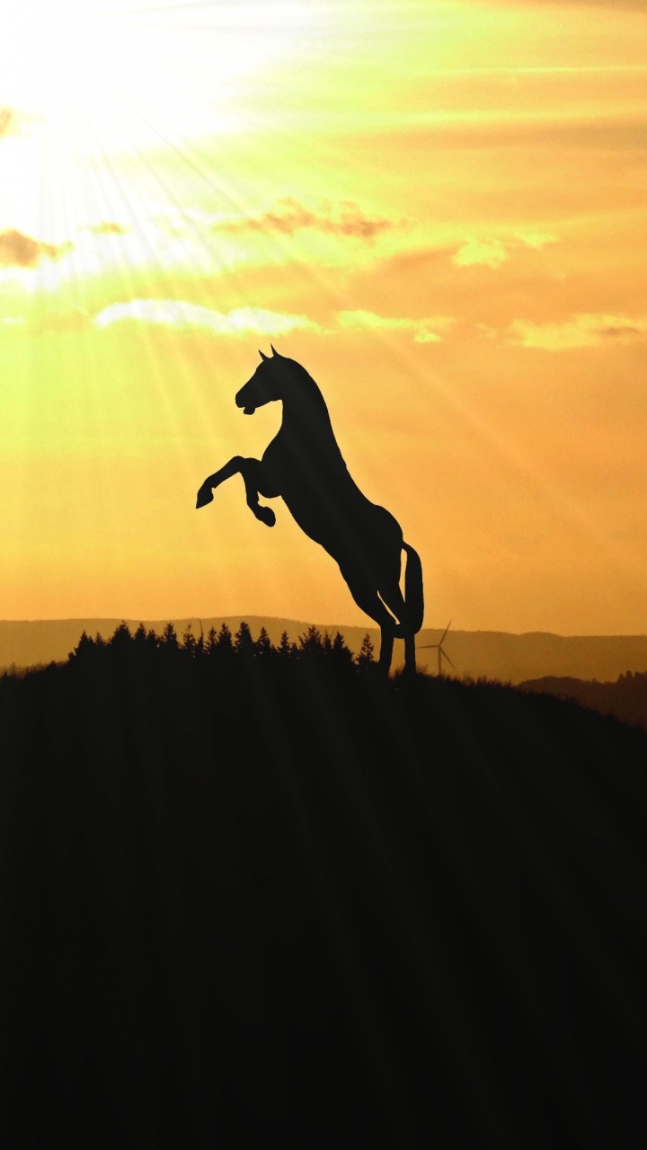 Обои конь, экстремальный вид спорта, закат, облако, силуэт в разрешении 720x1280