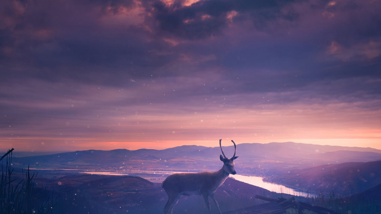 Обои Эдвард Каллен, балахон, 2023, облако, атмосфера в разрешении 1280x720