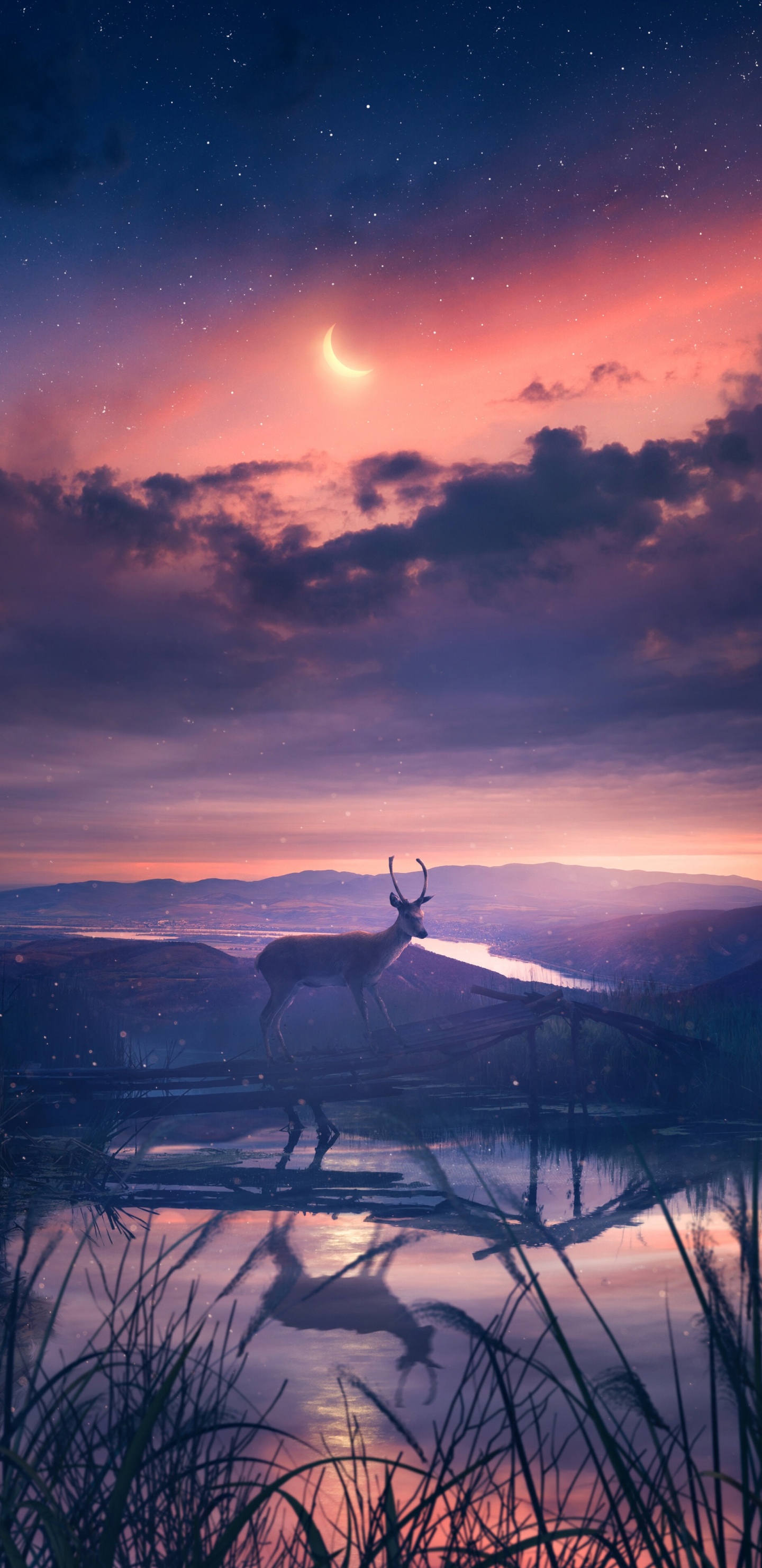 Обои Эдвард Каллен, балахон, 2023, облако, атмосфера в разрешении 1440x2960