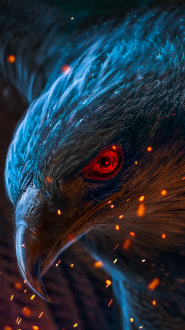 Обои ios, андроид, синий, лазурный, клюв в разрешении 720x1280