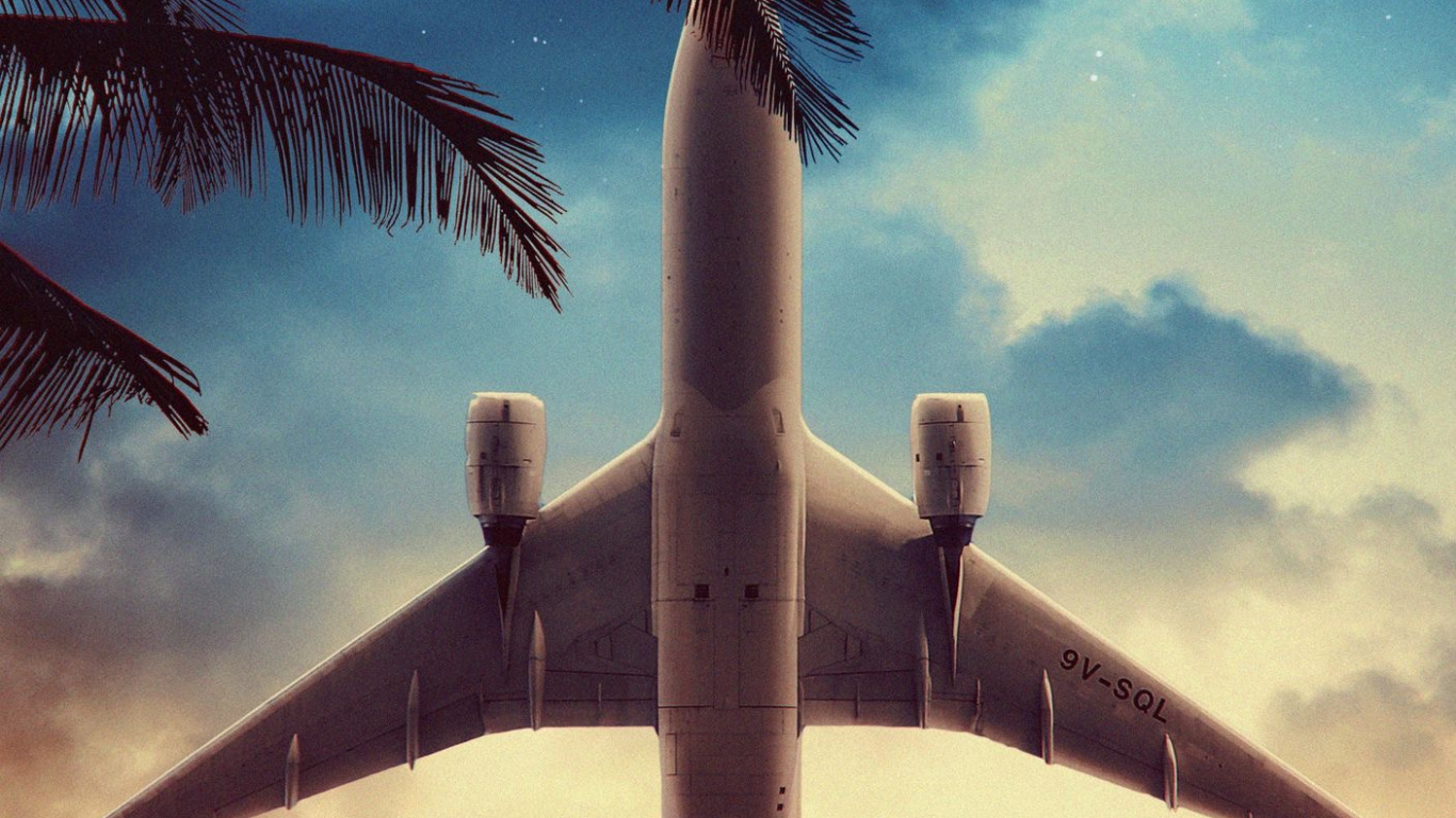 Обои облако, атмосфера, самолеты, самолет, дерево в разрешении 1366x768